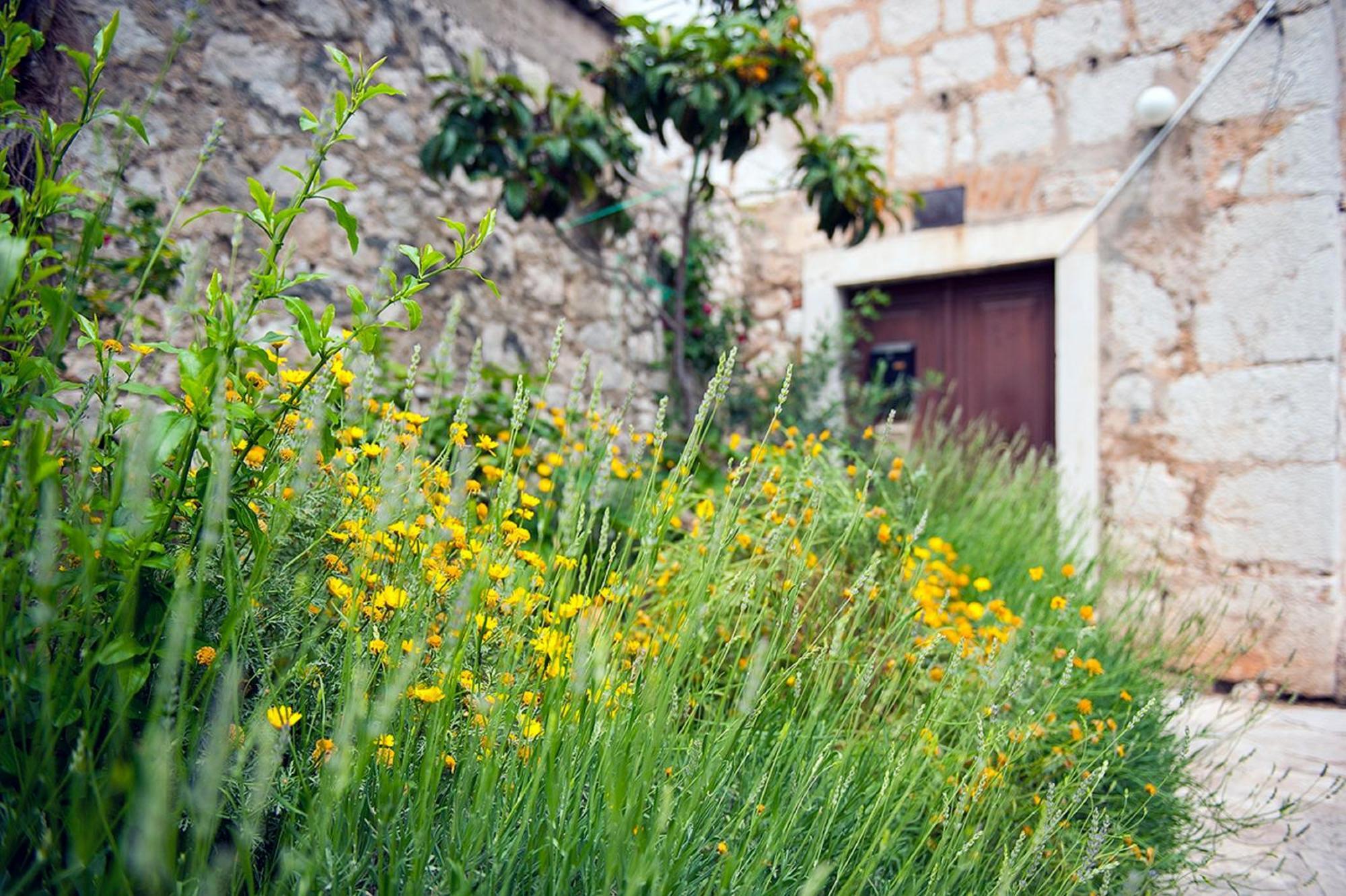 Dalmatian Garden - Free Parking - City Centre Sibenik Luaran gambar