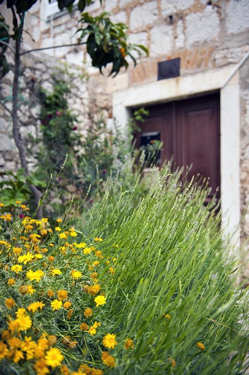 Dalmatian Garden - Free Parking - City Centre Sibenik Bilik gambar